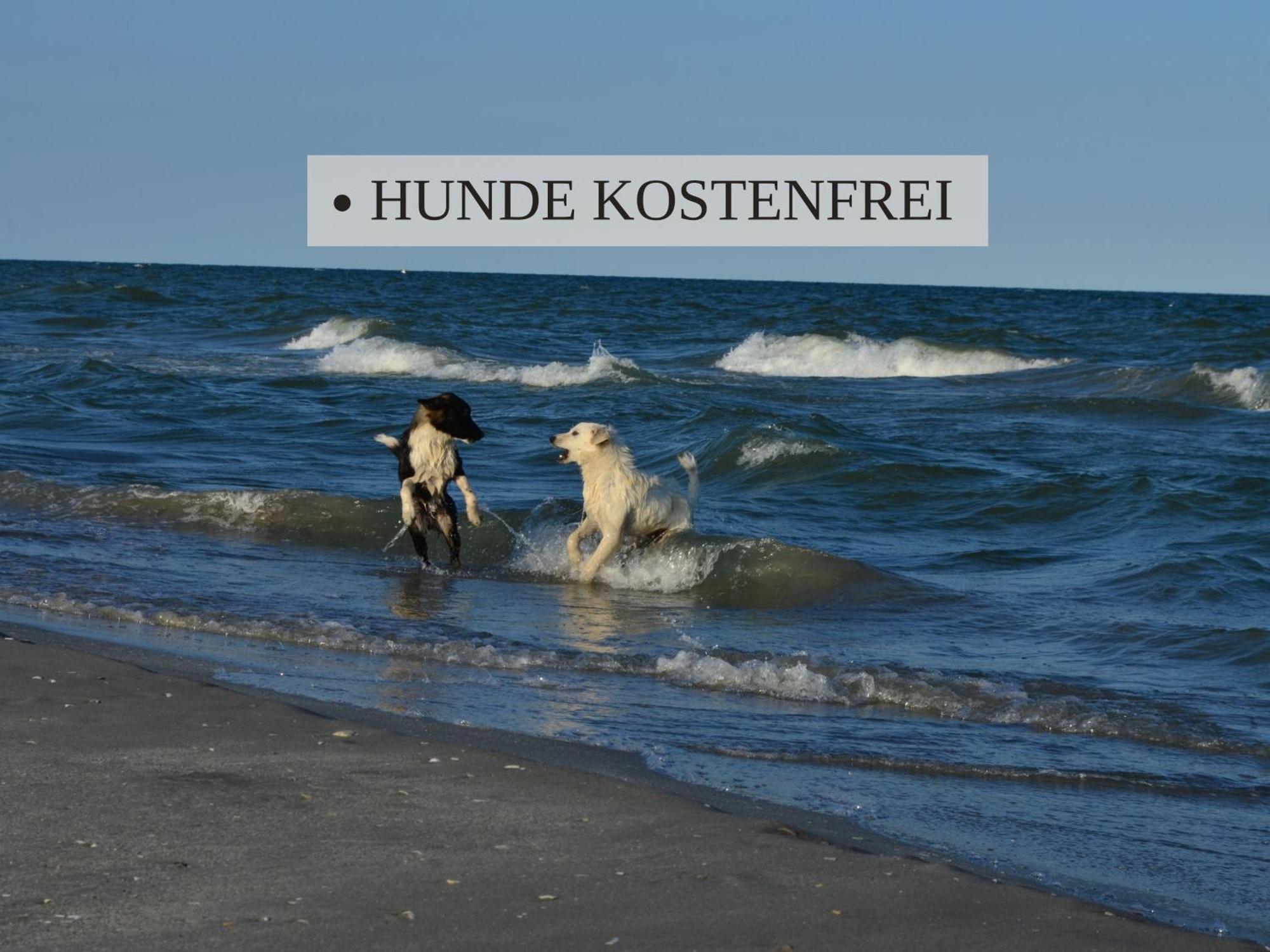 Haus Krabbe Apartments, Zentral Gelegen Im Idyllischen Nordseeort Zwischen Bremerhaven Und Cuxhaven, Hunde Kostenfrei Willkommen, Hauseigene Kostenfreie Parkplaetze Времен Екстер'єр фото